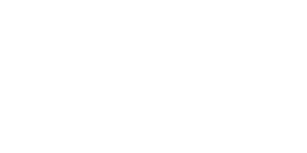 Boi Jeanius